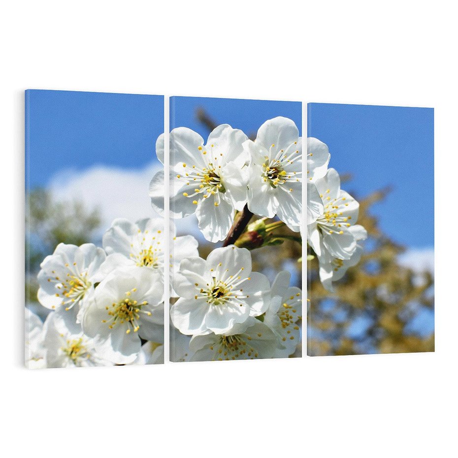 Obraz na płótnie 120x80 - Kwiatowa harmonia natury - kwiat, kwiaty