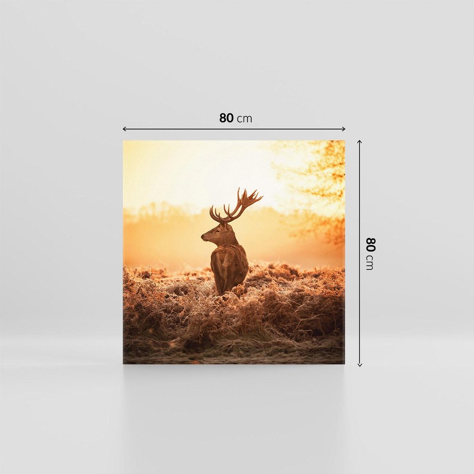 Obraz na płótnie 80x80 - Magia jesiennego słońca: Jeleń w promieniach - jeleń, jesień