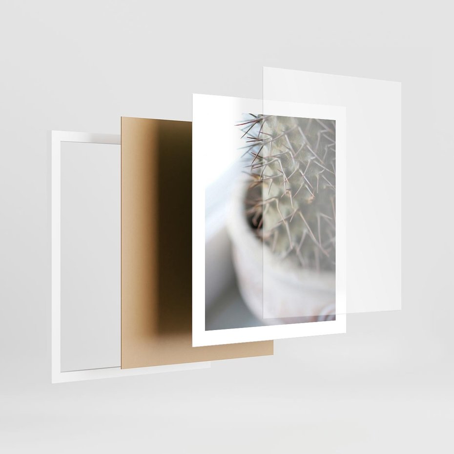 Plakat w ramie 40x50 - Kaktus w Zbliżeniu - kaktus, igły - rama biała