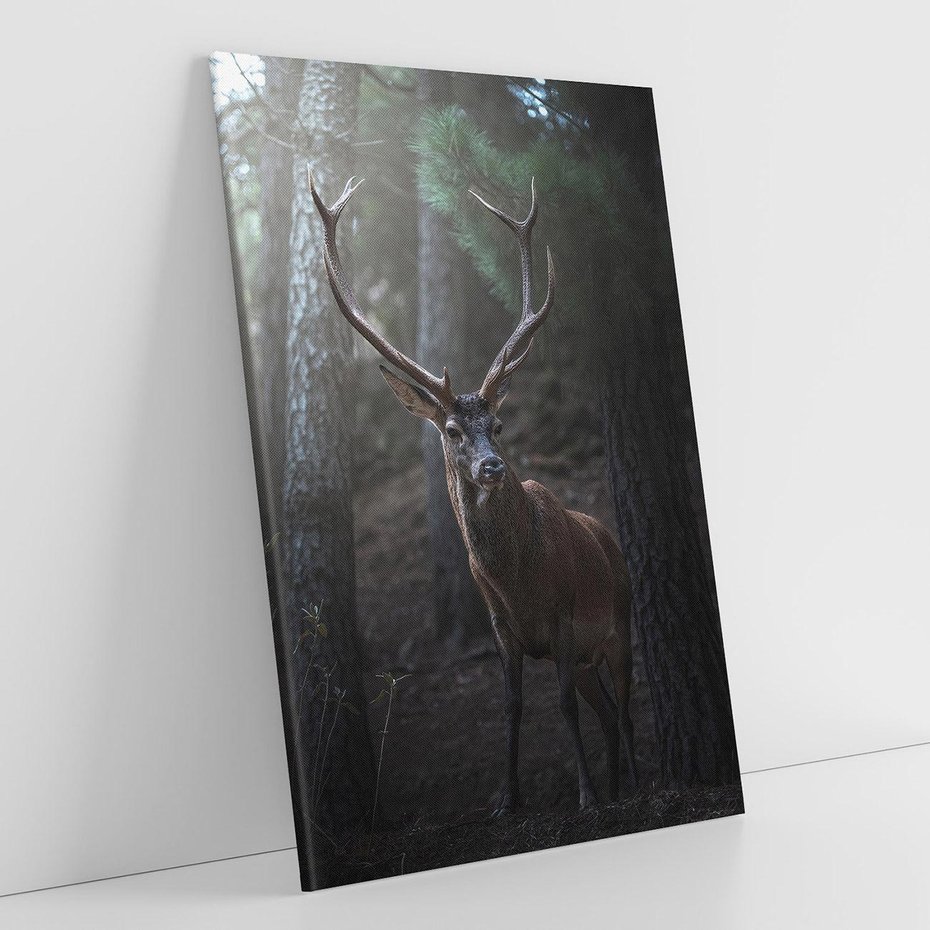 Obraz na płótnie 50x70 - Jeleń wśród lasu - jeleń, las