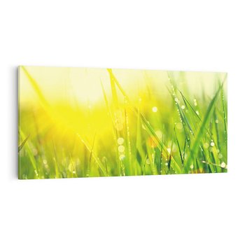 Obraz na płótnie 120x60 - Piękno Poranka - łąka, trawa