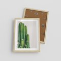 Plakat w ramie 30x40 - Minimalistyczne Kaktusy na Białym Tle - kaktusy, minimalistyczna fotografia - rama drewno