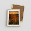 Plakat w ramie 30x40 - Maki przy zachodzie słońca - maki, zachód - rama drewno