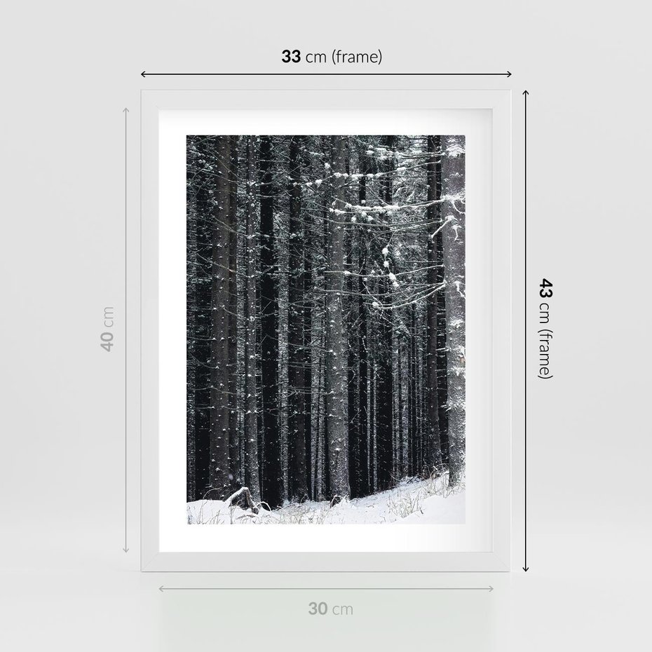 Plakat w ramie 30x40 - Leśna Cisza: Malowniczy Pejzaż Zimą - las zimą, ośnieżone pnie drzew - rama biała