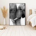 Obraz w ramie 70x100 - Spotkanie Mądrości - fotografia czarno biała, dwa słonie - rama czarna