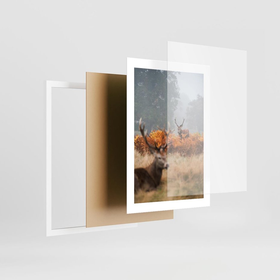 Plakat w ramie 30x40 - Malownicza Harmonia - jelenie, jesień - rama biała