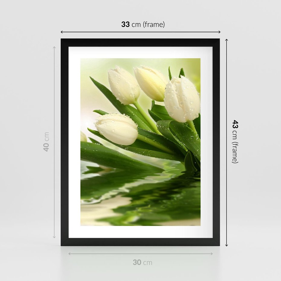 Plakat w ramie 30x40 - Białe Piękno - białe, tulipany - rama czarna