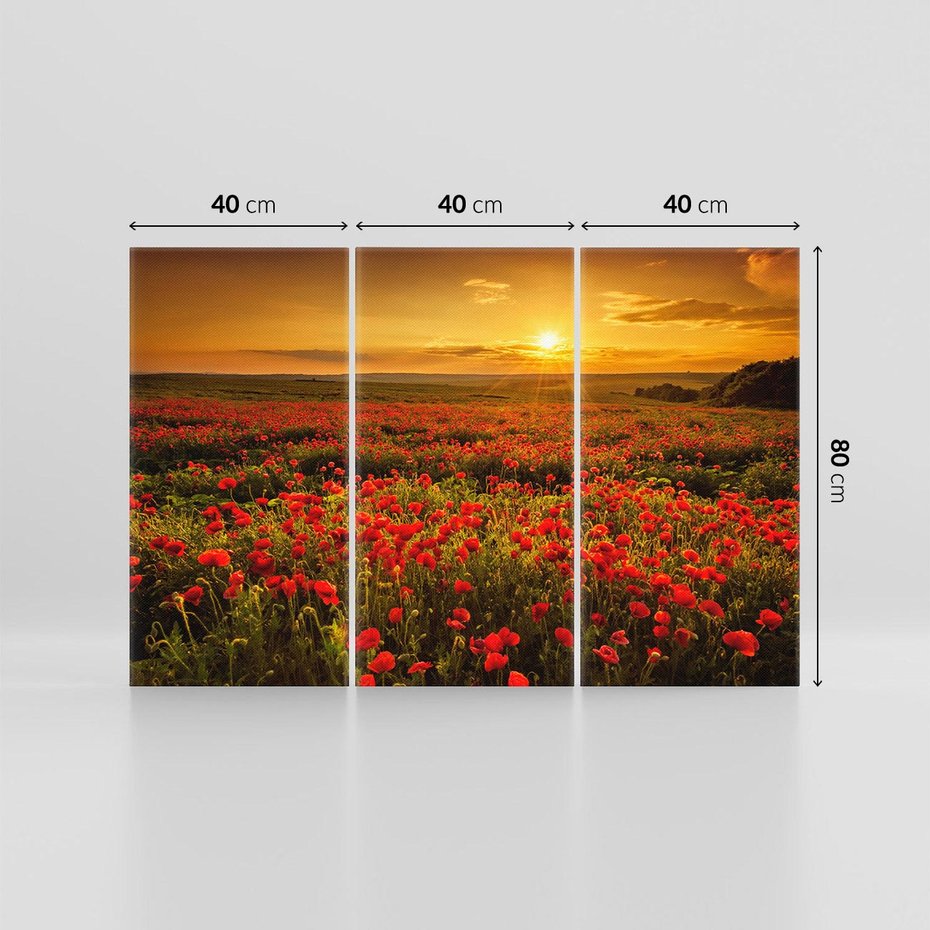 Obraz na płótnie 120x80 - Makowe uczucia - maki, kwiaty