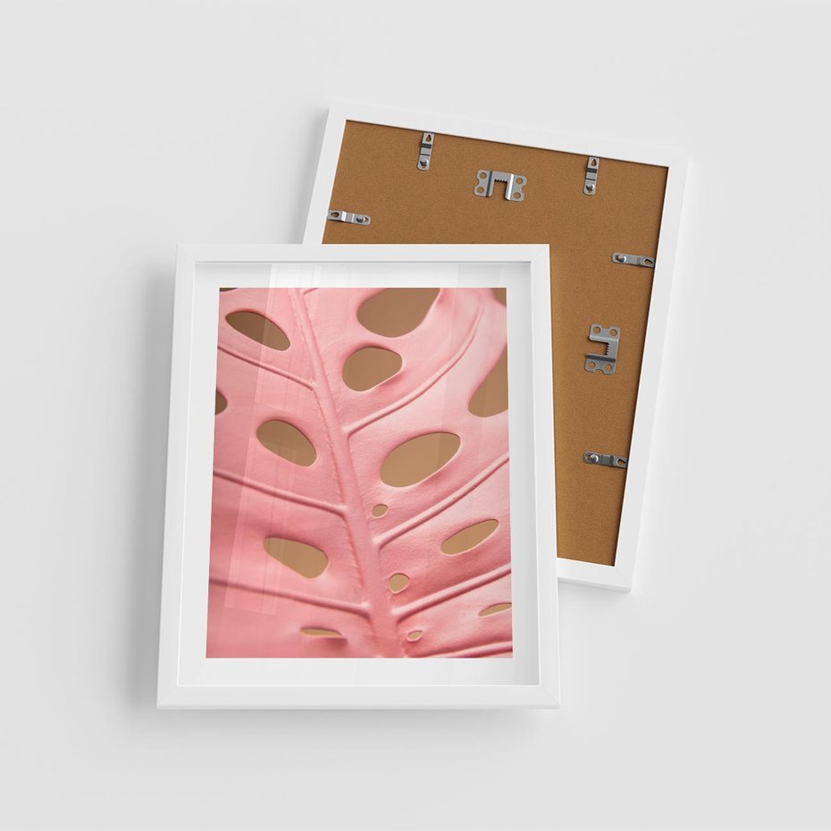 Plakat w ramie 40x50 - Różowa monstera w pełnym rozkwicie - różowa, monstera - rama biała