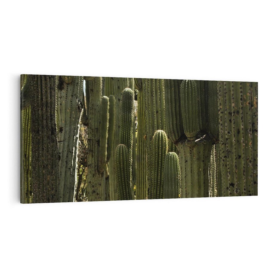 Obraz na płótnie 100x50 - Wyjątkowy Klimat Boho - kaktusy, pustynia