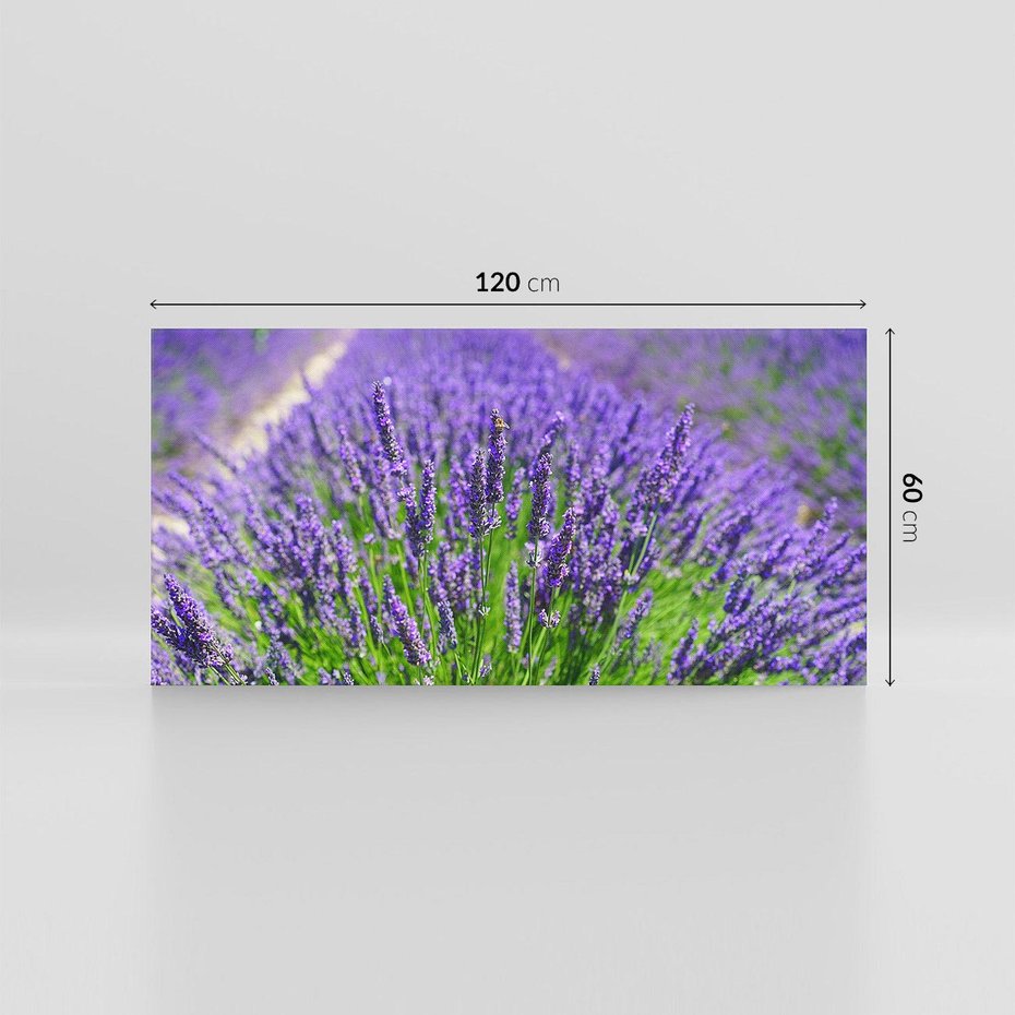 Obraz na płótnie 120x60 - Lawendowe pola piękno natury - lawenda, kwiaty