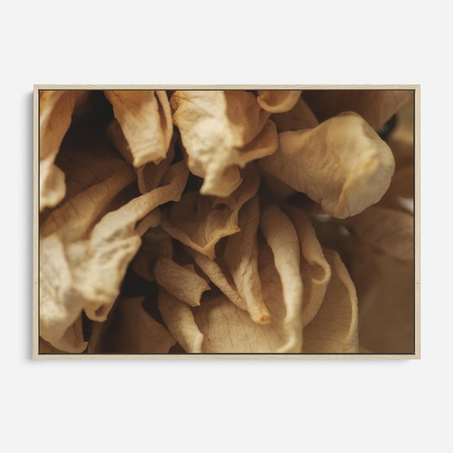 Obraz w ramie 70x50 - Zjawiskowe zasuszone kwiaty - zasuszone, kwiaty - rama drewno