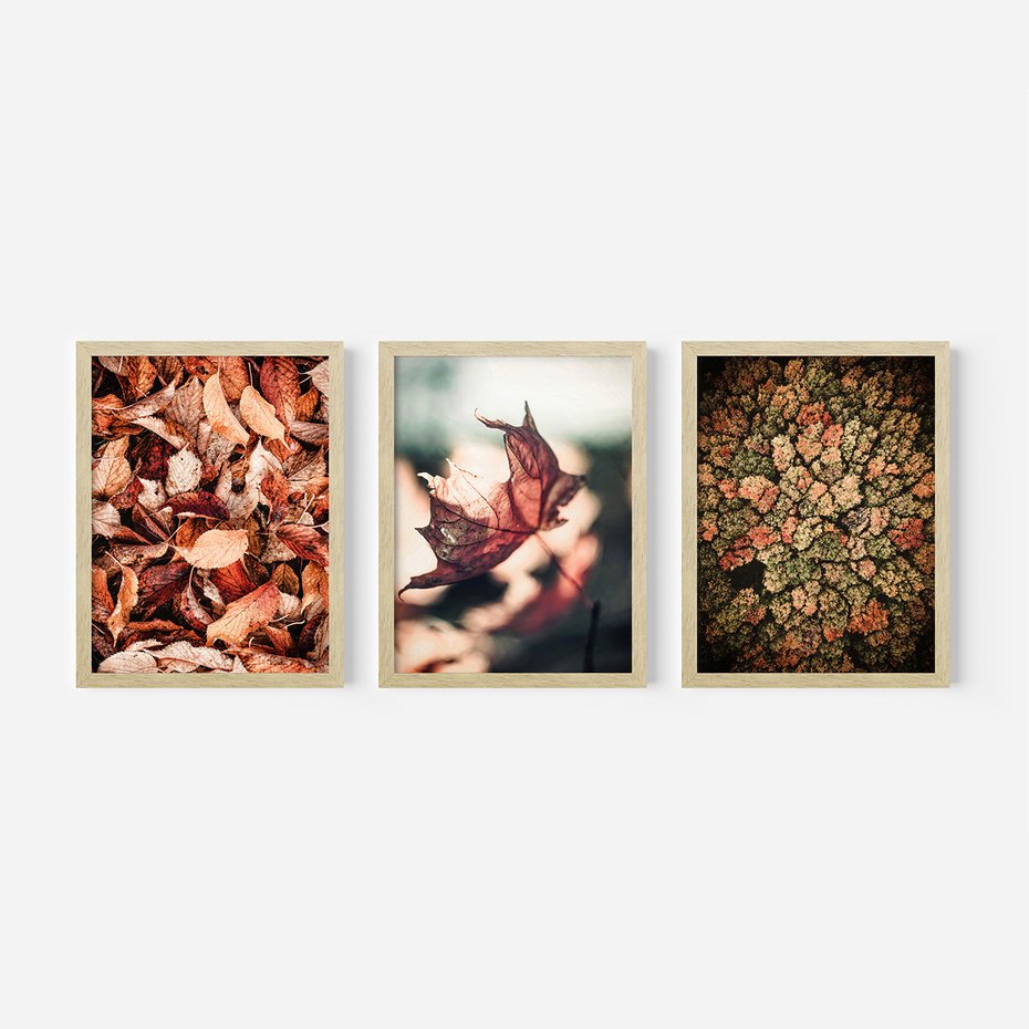 Zestaw obrazy w ramie 30x40 galeria - Jesienny, las, liście - rama drewno