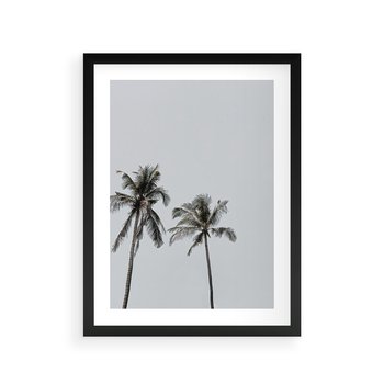 Plakat w ramie 50x70 - Tropikalny Raj: Palmy i Niebo - palmy, niebo - rama czarna