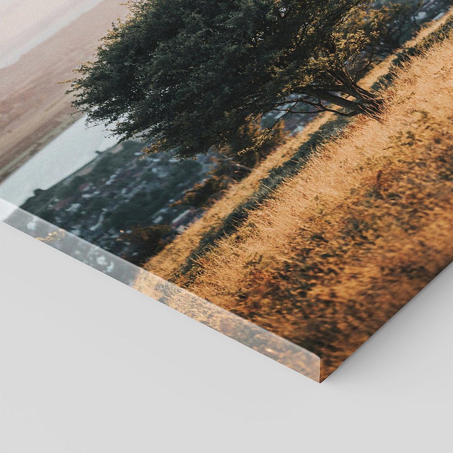 Obraz na płótnie 50x70 - Siła Natury - drzewo, pejzaż