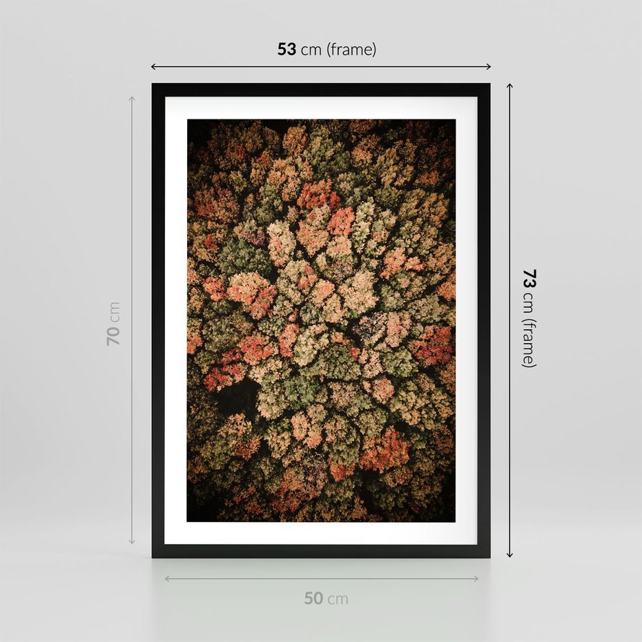 Plakat w ramie 50x70 - Jesień z Lotu Ptaka: Malowniczy Las - las jesienią z lotu ptaka - rama czarna