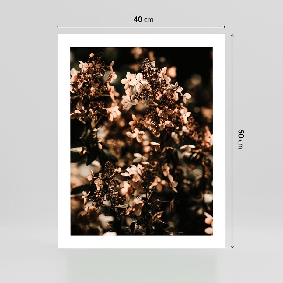Plakat bez ramy 40x50 - Sucha Kompozycja Kwiatów - suche kwiaty hortensji