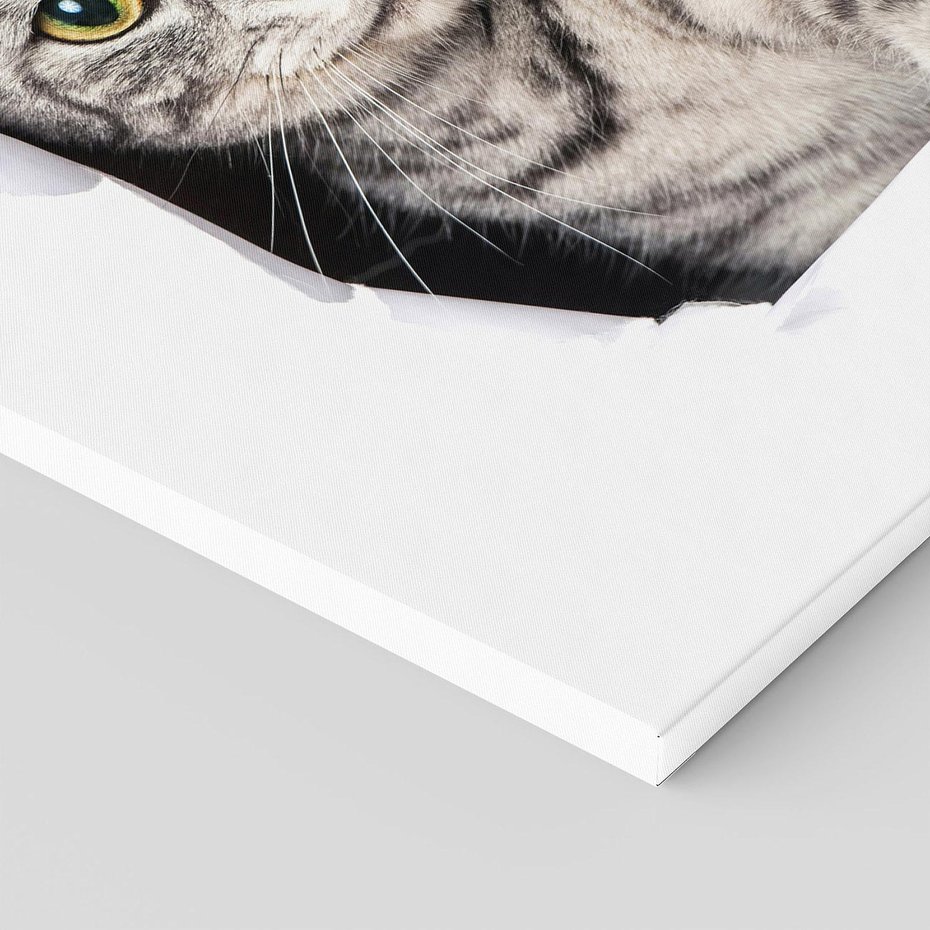 Obraz na płótnie 30x30 - Tajemniczy kot i jego świat - kot, dziura