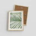 Plakat w ramie 30x40 - Liście Palmy: Egzotyczna Grafika - palma, liście palmy - rama drewno