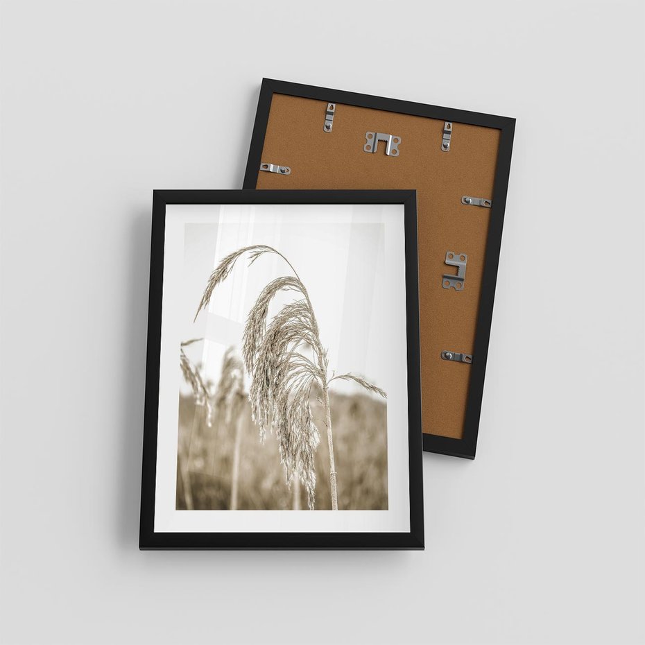 Plakat w ramie 30x40 - Ujęcie Suchych Traw - suche trawy, zbliżenie - rama czarna