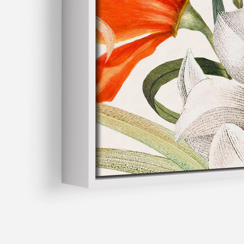 Obraz w ramie 70x100 - Polne Kwiaty - polne kwiaty, na białym tle - rama biała