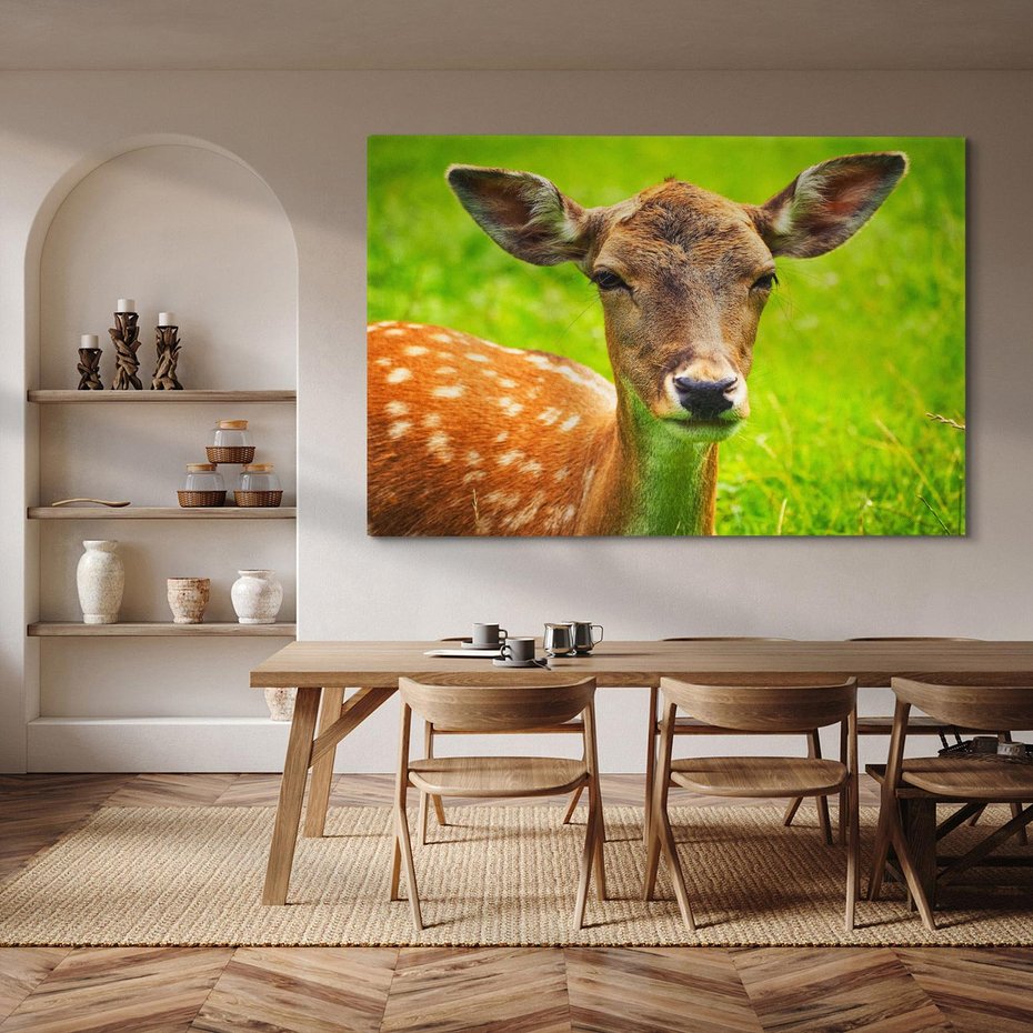 Obraz na płótnie 120x80 - Sarna na łące - sarna, zwierzę