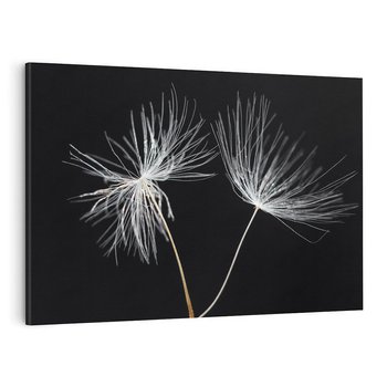 Obraz na płótnie 120x80 - Delikatność Wiatru - dmuchawce, makro