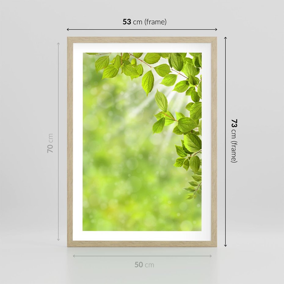 Plakat w ramie 50x70 - Zielone liście natury - liści, zieleń - rama drewno