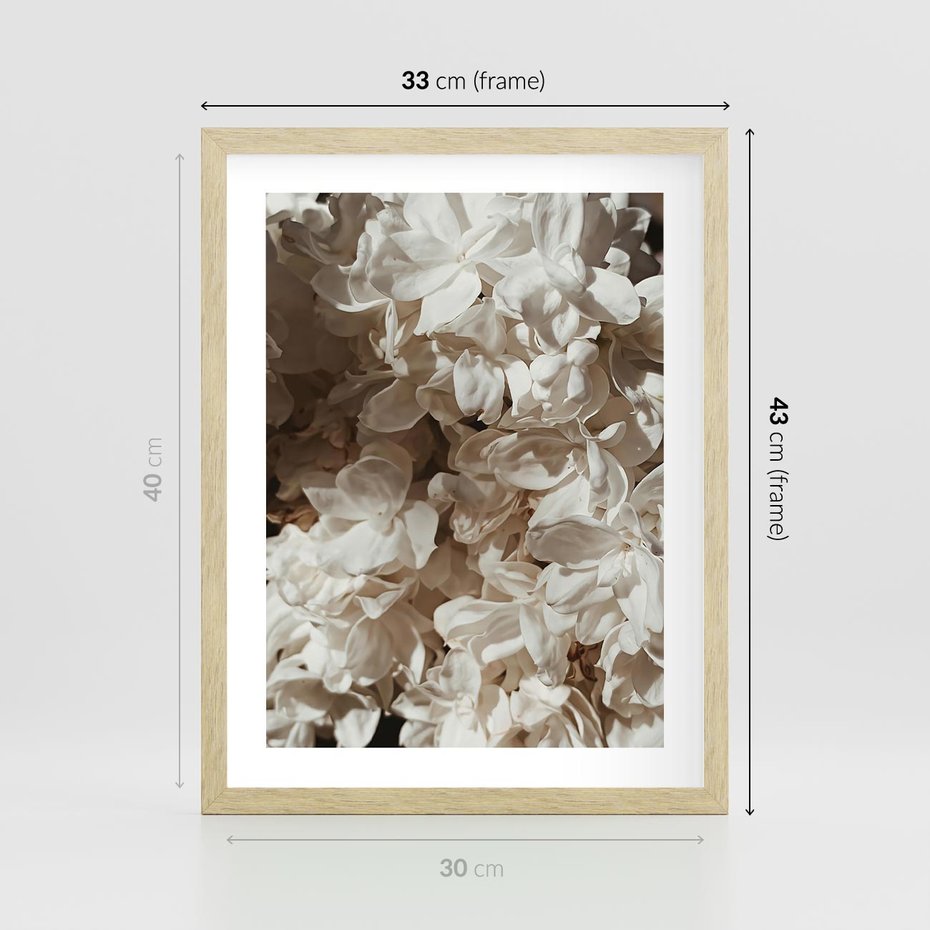 Plakat w ramie 30x40 - Płatki w Detalu - białe kwiaty, zbliżenie - rama drewno