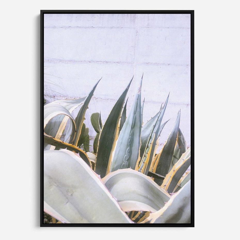 Obraz w ramie 50x70 - Sukulentowe liście - liście, sukulenty - rama czarna