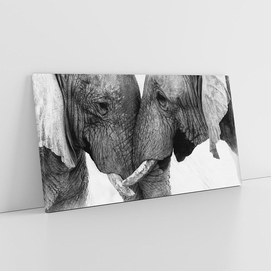 Obraz na płótnie 140x70 - Spotkanie Mądrości - fotografia czarno biała, dwa słonie