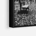 Obraz w ramie 70x100 - Spadające Liście - czarno białe zdjecie, park - rama czarna
