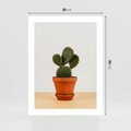 Plakat bez ramy 30x40 - Kwiatowy taniec kaktusa - kaktus, kwiat