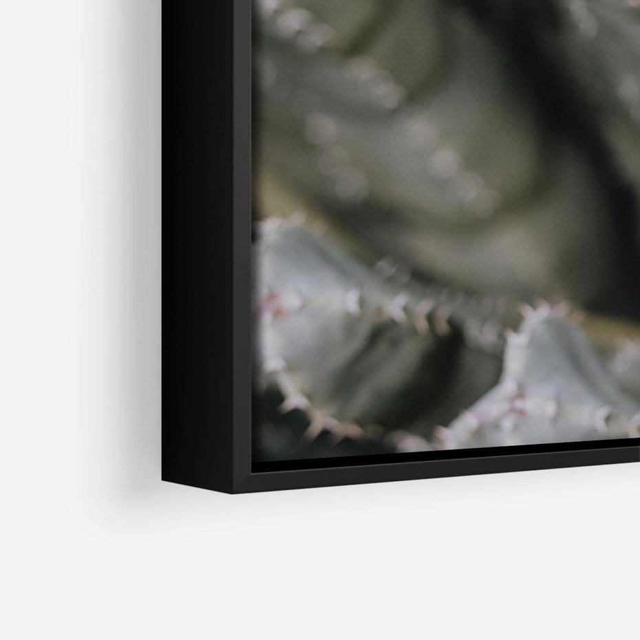 Obraz w ramie 70x50 - Boho kaktusy na pustyni - kaktusy, pustynia - rama czarna