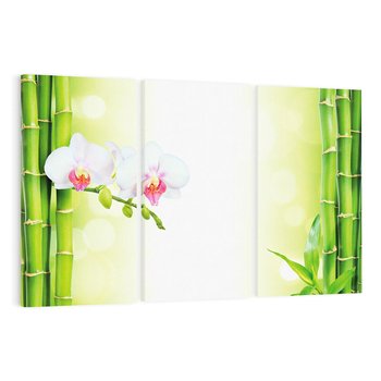 Obraz na płótnie 120x80 - Orchidea, Bambus i Relaks w SPA - orchidea, kwiat