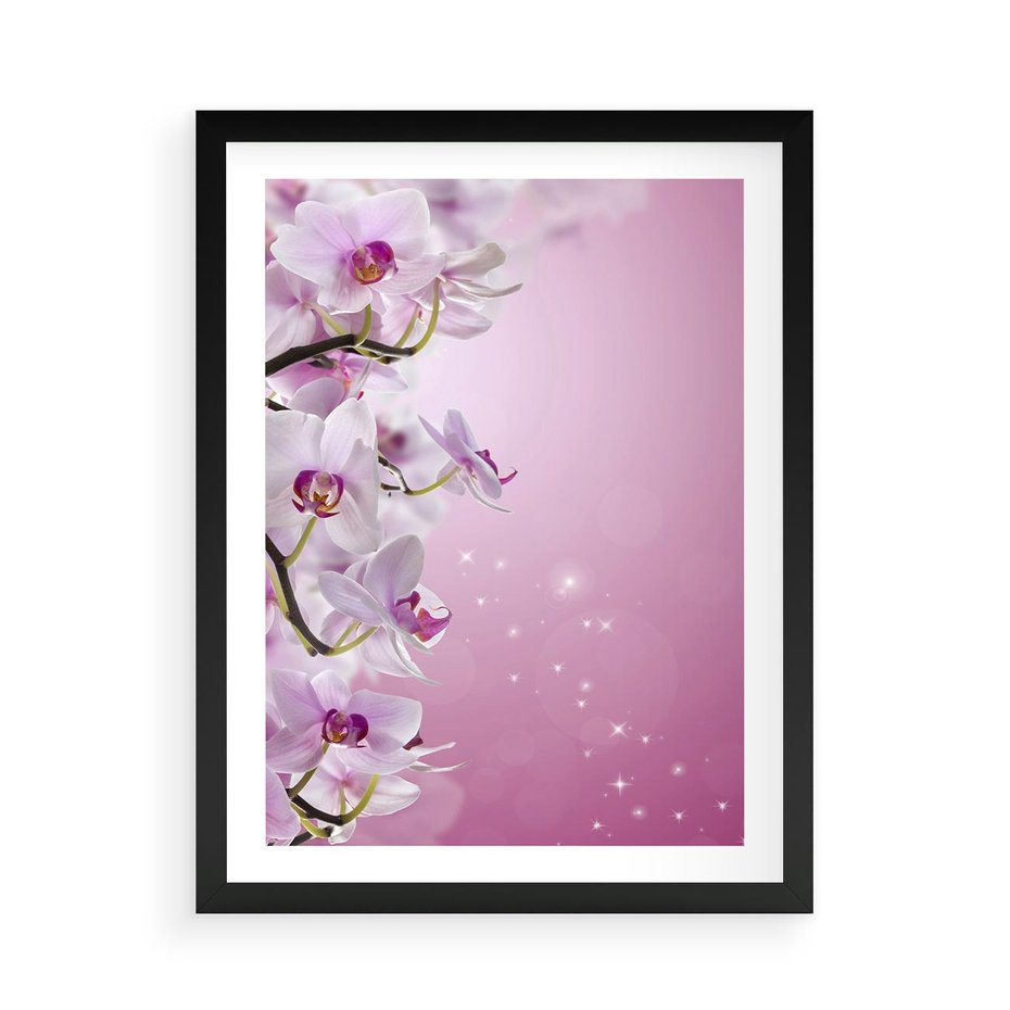 Plakat w ramie 50x70 - Relaksujące Piękno - kwiaty, orchidea - rama czarna