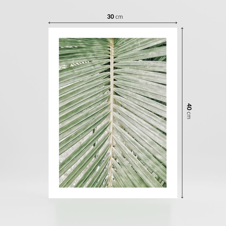 Plakat bez ramy 30x40 - Jasna Zieleń Palmy - liść palmy, zbliżenie