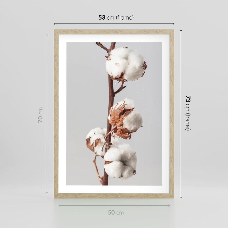 Plakat w ramie 50x70 - Spokojna Gałązka Bawełny - gałązka bawełny, prosta spokojna fotografia - rama drewno