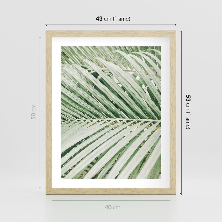 Plakat w ramie 40x50 - Liście Palmy: Egzotyczna Grafika - palma, liście palmy - rama drewno