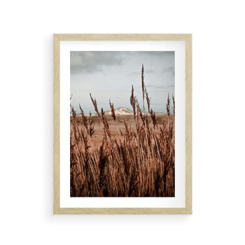Plakat w ramie 40x50 - Wysokie Trawy w Górskim Krajobrazie - suche trawy, wysokie trawy - rama drewno