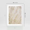 Plakat w ramie 30x40 - Białe Trawy Pampas - suche trawy, białe trawy - rama biała