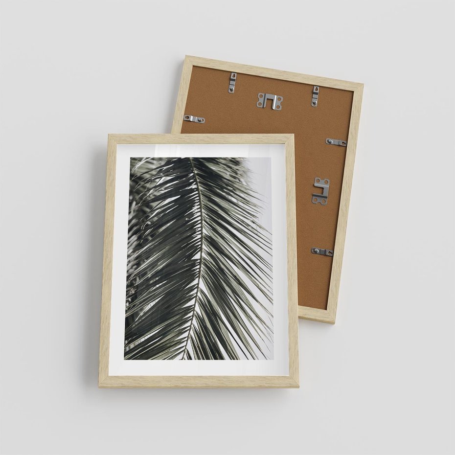 Plakat w ramie 30x40 - Liść Palmy: Egzotyczny Detal Natury - palma, liść palmy - rama drewno