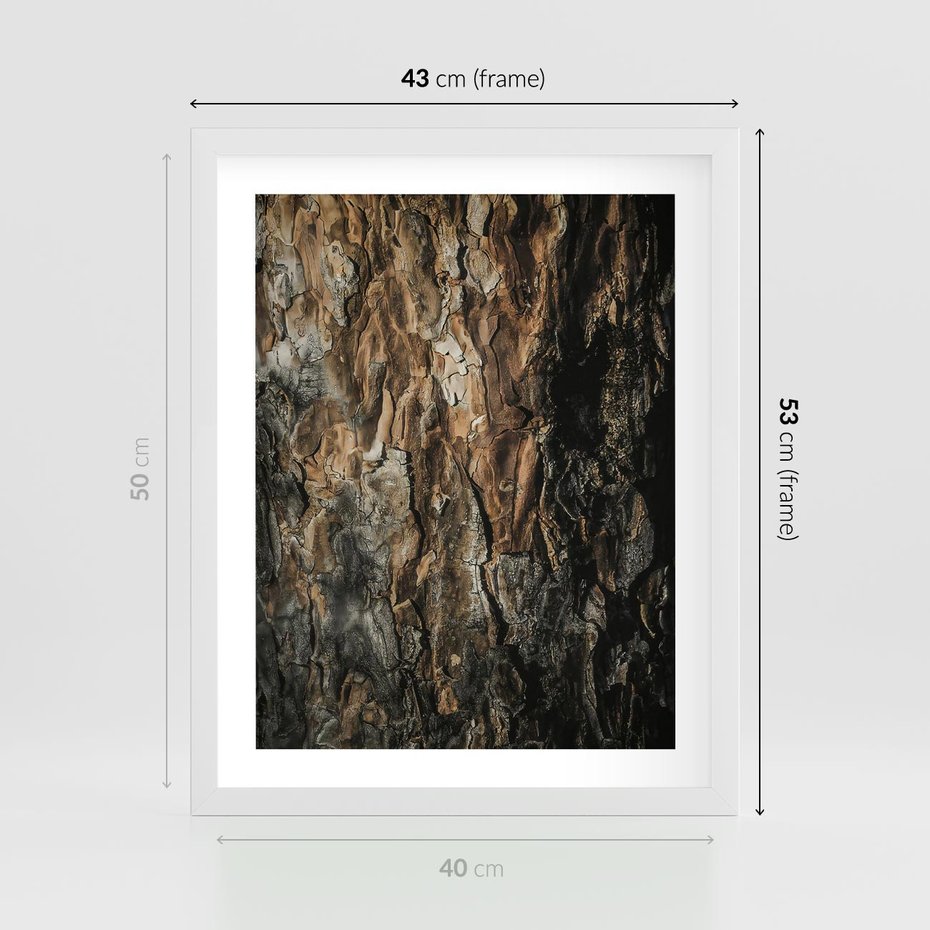 Plakat w ramie 40x50 - Tekstura Drewna: Zbliżenie - zbliżenie na pień drzewa, tekstura - rama biała