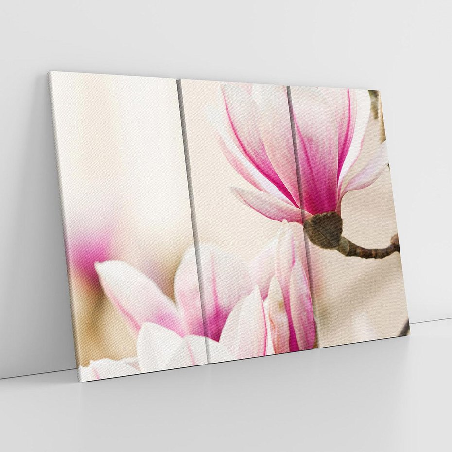 Obraz na płótnie 120x80 - Urok Magnolii - magnolie, kwiaty