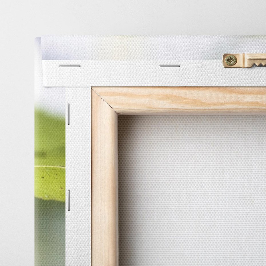 Obraz na płótnie 70x70 - Liczi Owoce - liczi, owoce