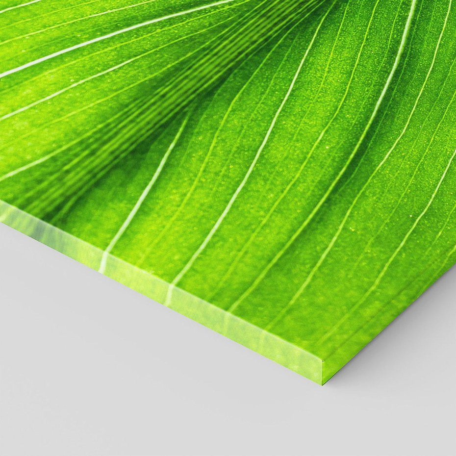 Obraz na płótnie 100x50 - Abstrakcja: interpretacje w liściach - liść, abstrakcja