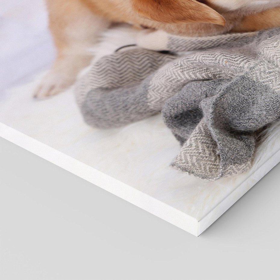 Obraz na płótnie 120x80 - Radość w zabawie: Piesek jako najlepszy przyjaciel - pies, piesek