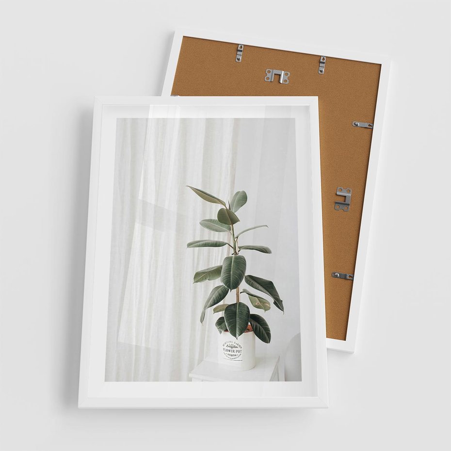 Plakat w ramie 50x70 - Kwiat w Bieli - kwiat w doniczce, białe wnętrze - rama biała