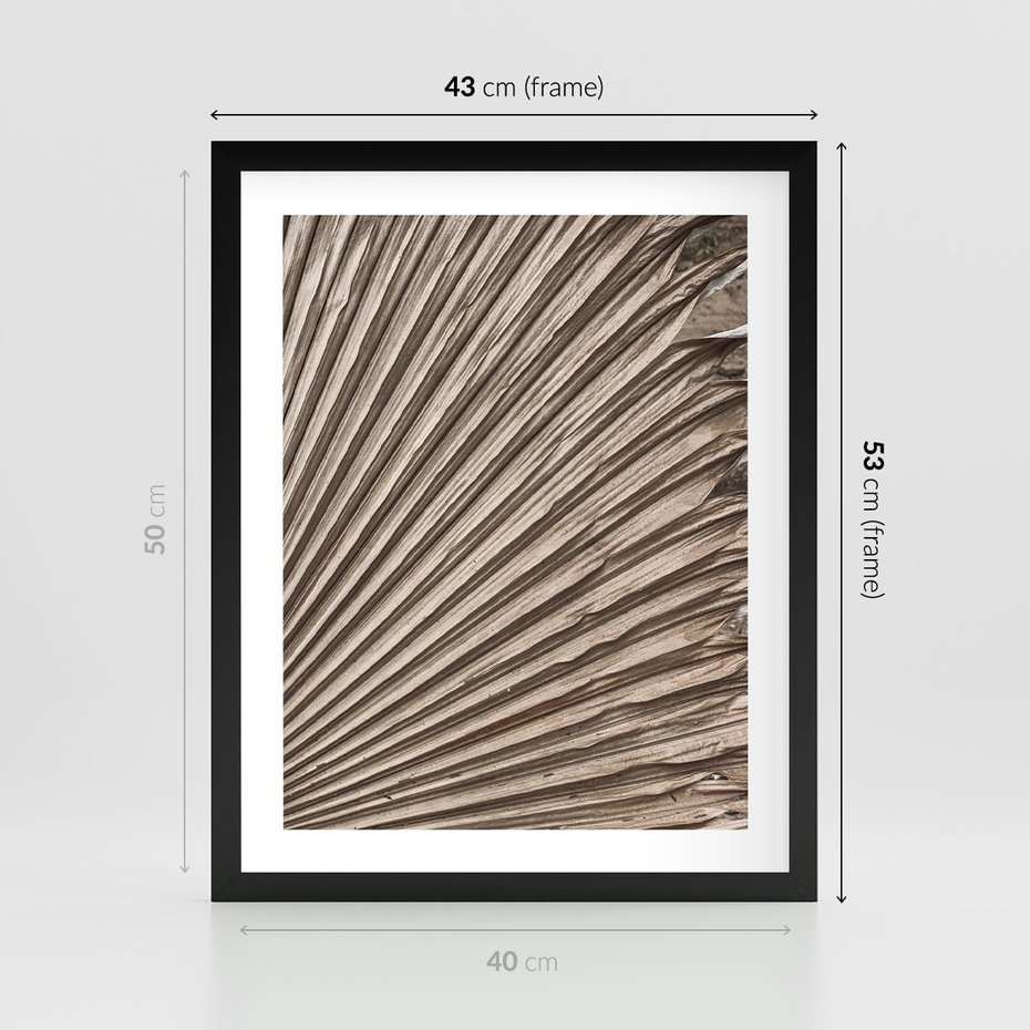 Plakat w ramie 40x50 - Liść Palmy w Wyjątkowej Kompozycji - suchy liść palmy, boho styl - rama czarna