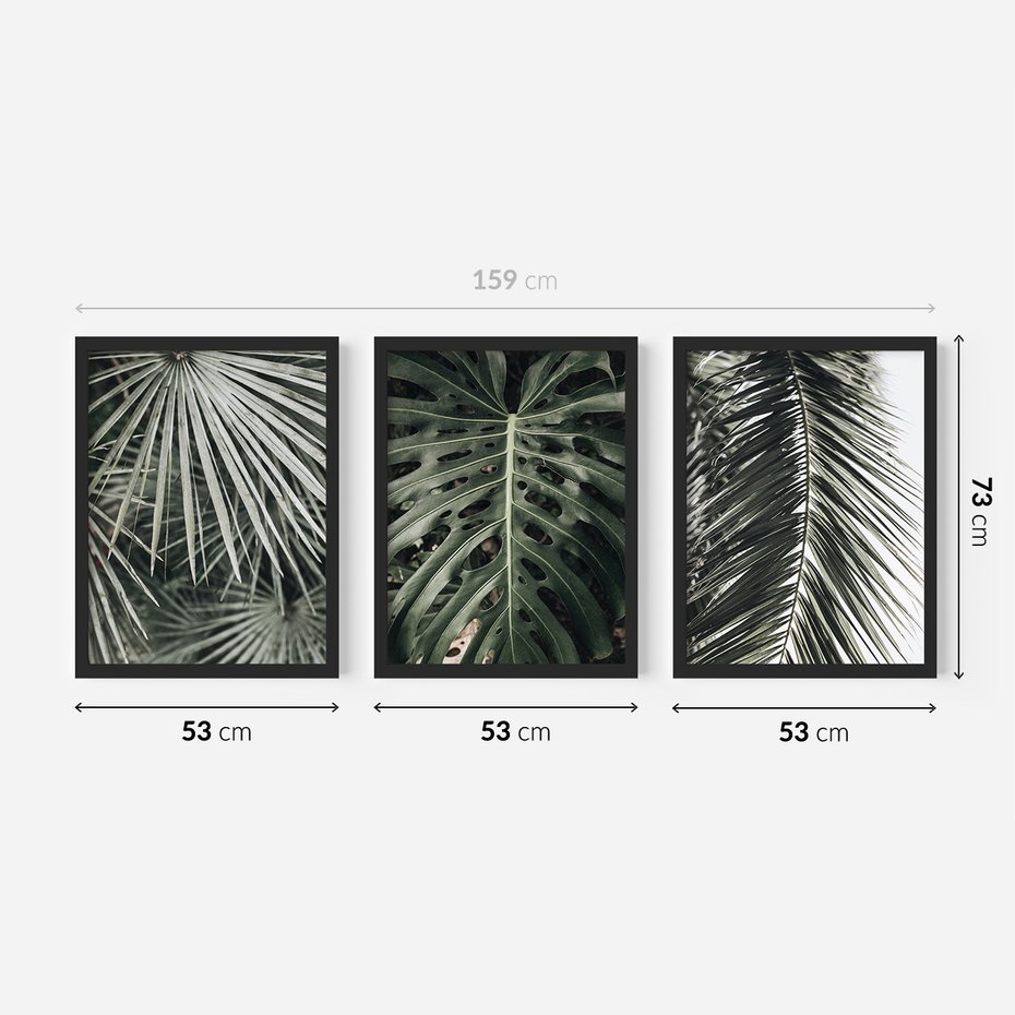 Zestaw obrazy w ramie 50x70 galeria - Liście, palmy, monstery - rama czarna